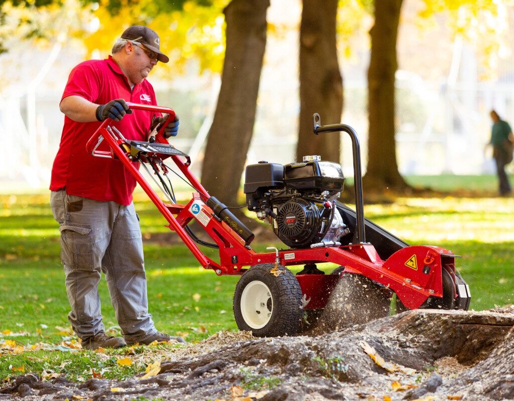 stump grinder rental near me