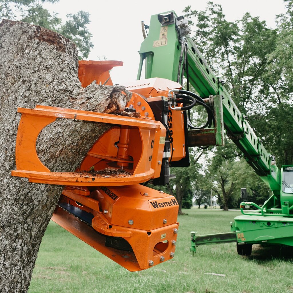 renting tree removal equipment