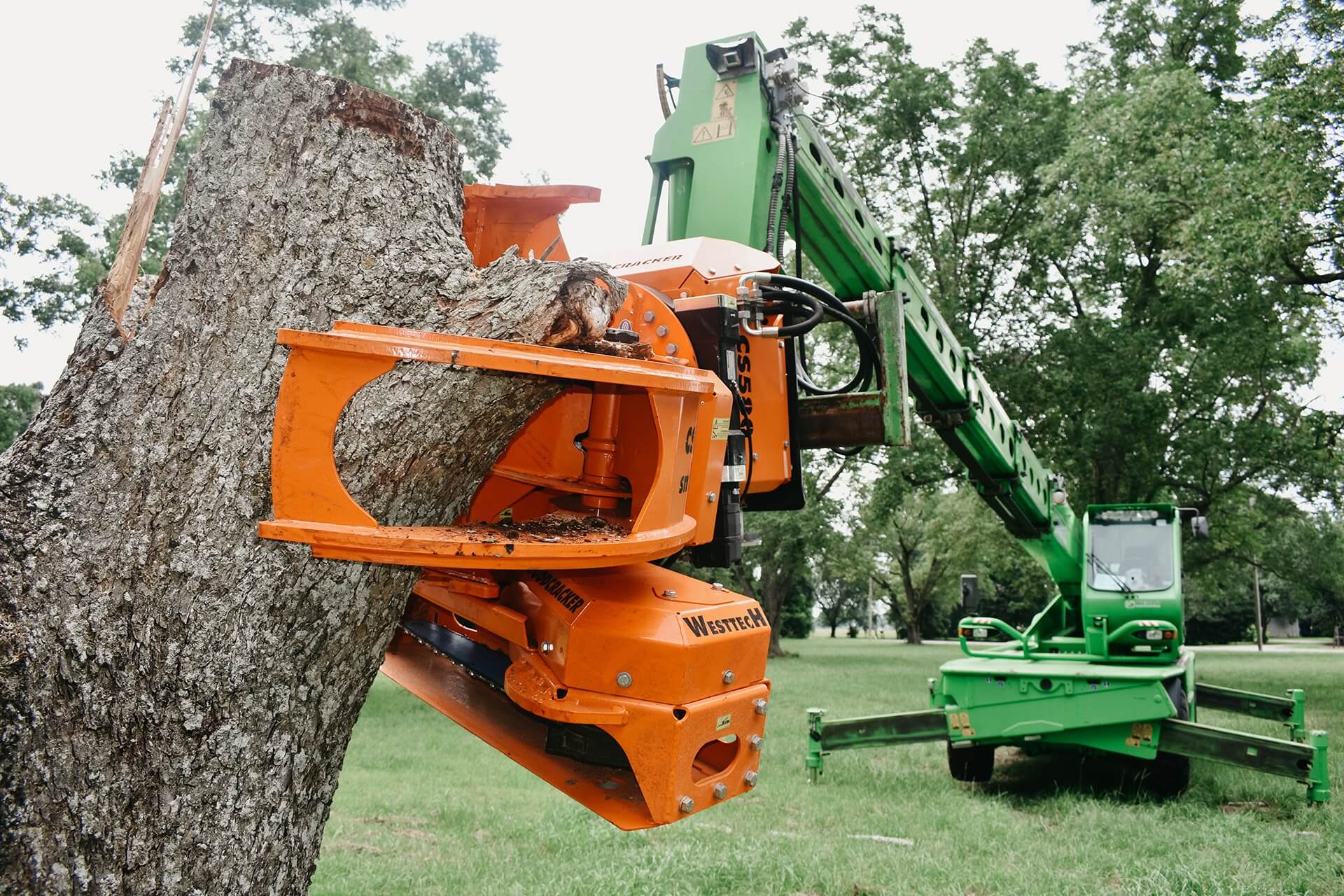 tree cutting equipment