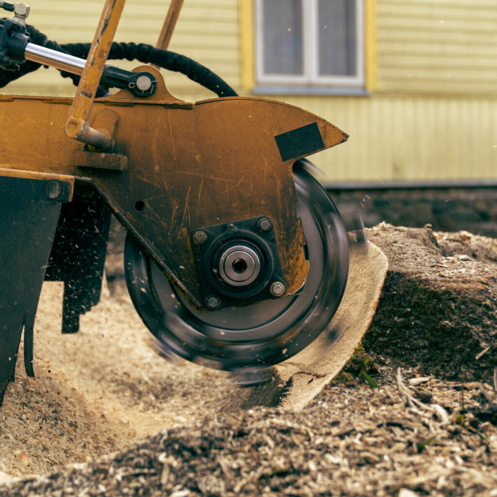 stump grinding eugene