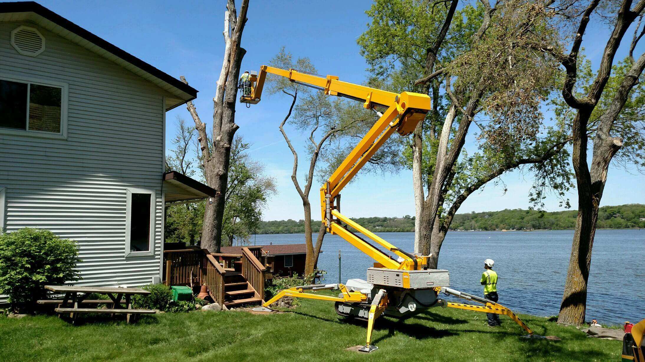 Tree Cutting Service