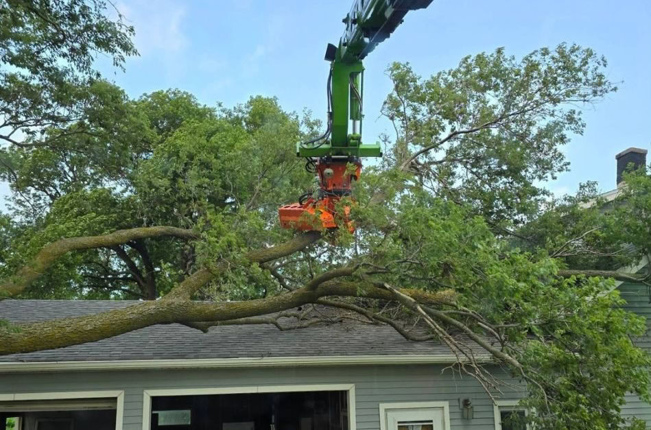 residential tree service