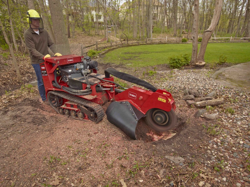 rent small stump grinder