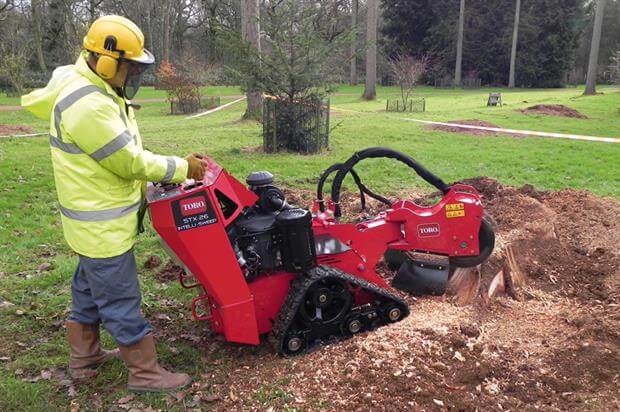 stump grinding near me