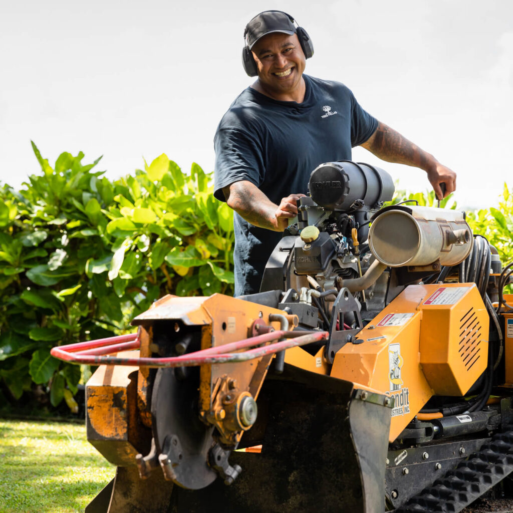 stump grinding near me