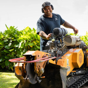 stump grinding near me