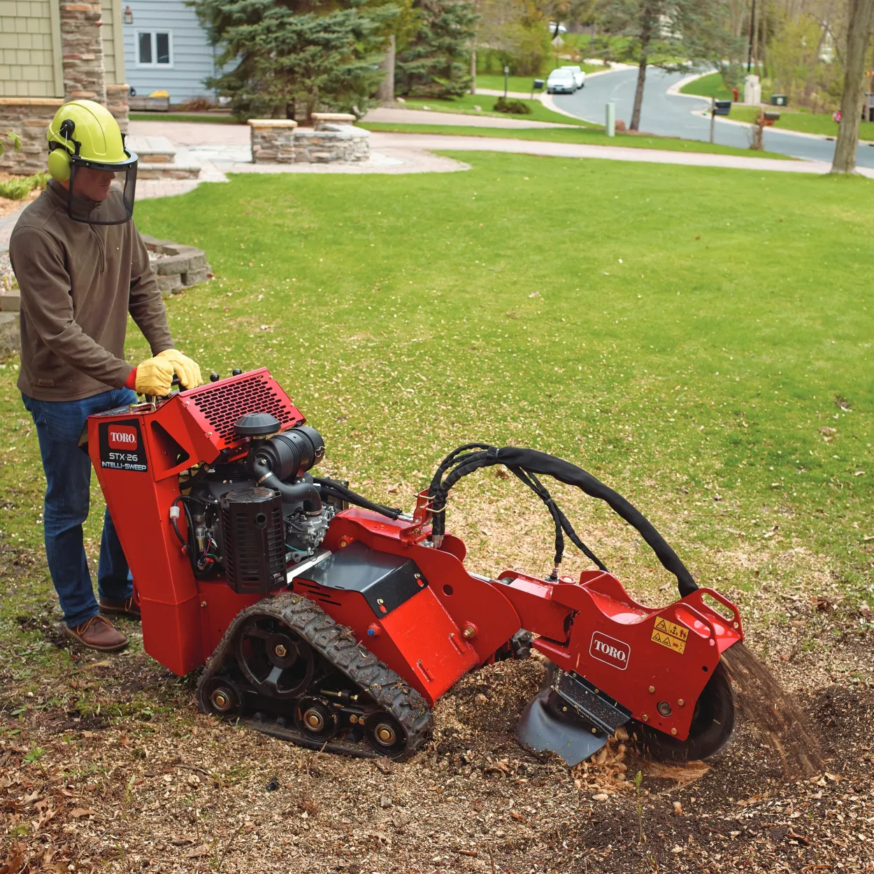 rent small stump grinder