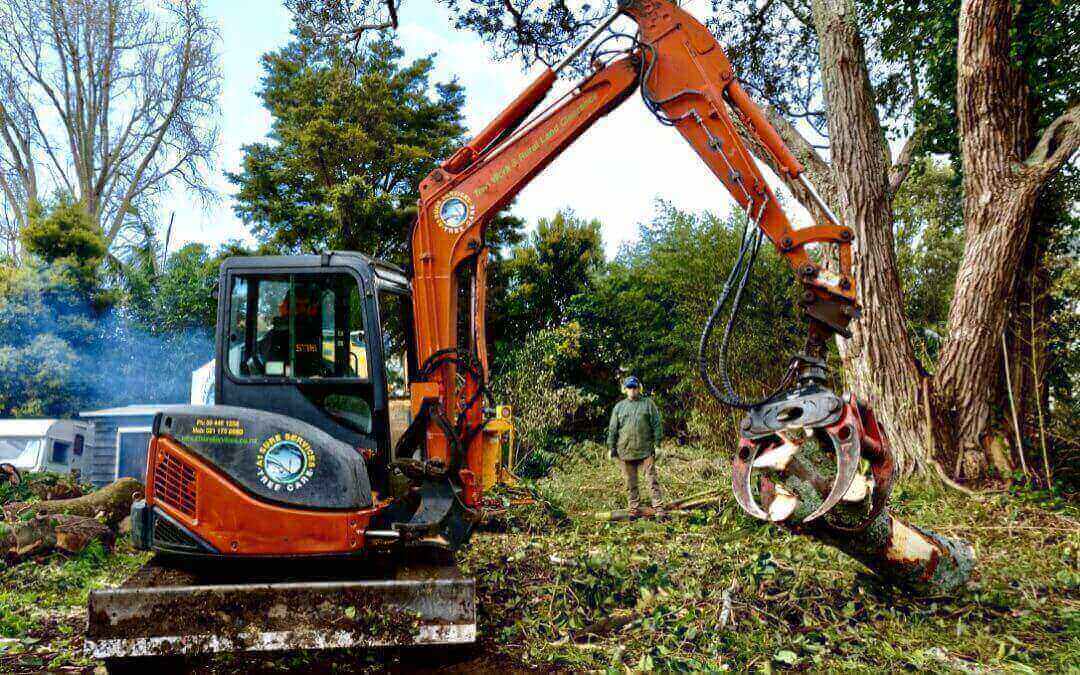 Professional tree trimming equipment