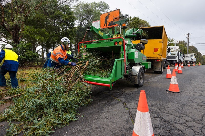 affordable tree removal