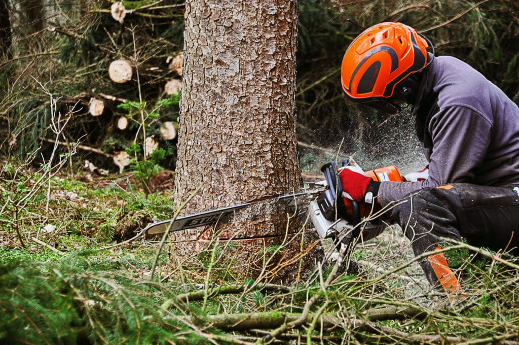 Tree Cutting Service