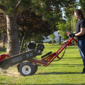 rent stump remover