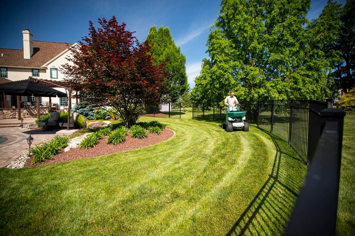 landscaping and tree service