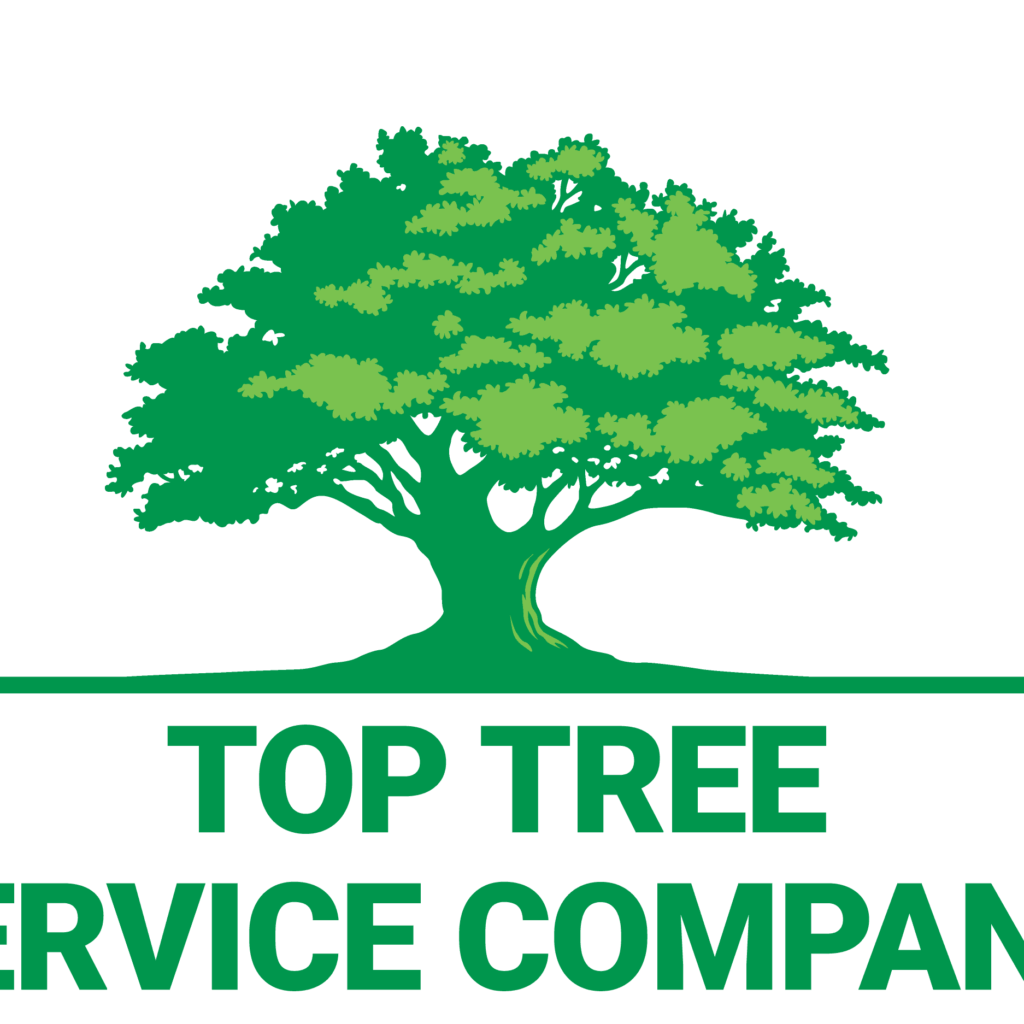 top tree service