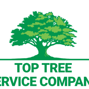 top tree service