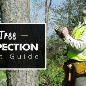 Comprehensive tree health inspection near me