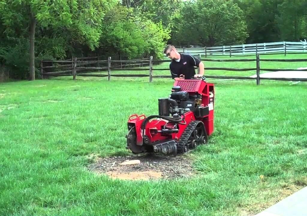 rent small stump grinder