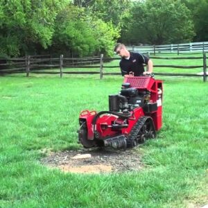 rent small stump grinder