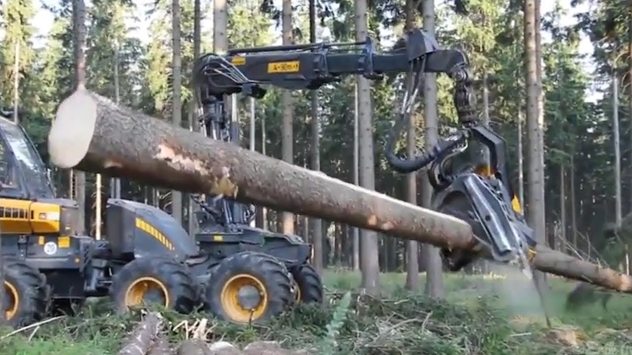 Tree cutting machine vehicle