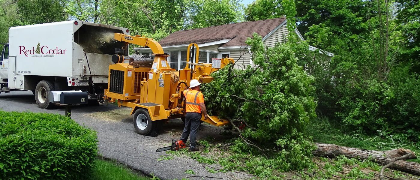 Professional Tree Service