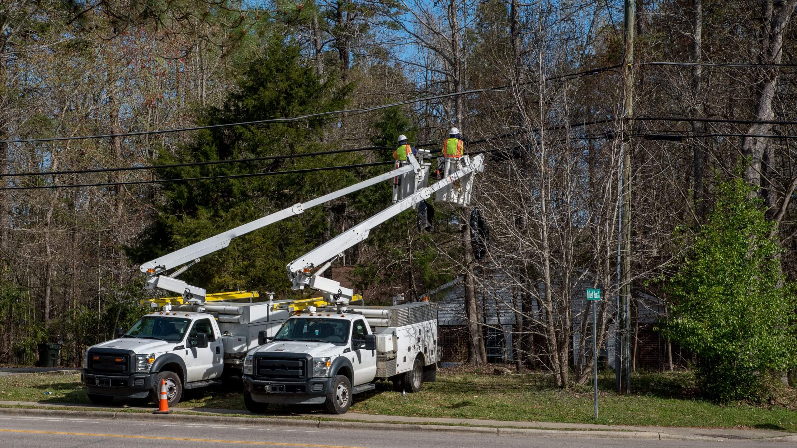 Residential Tree Service