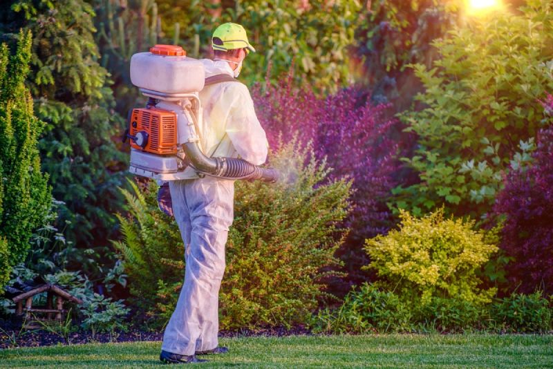 Pest control for trees