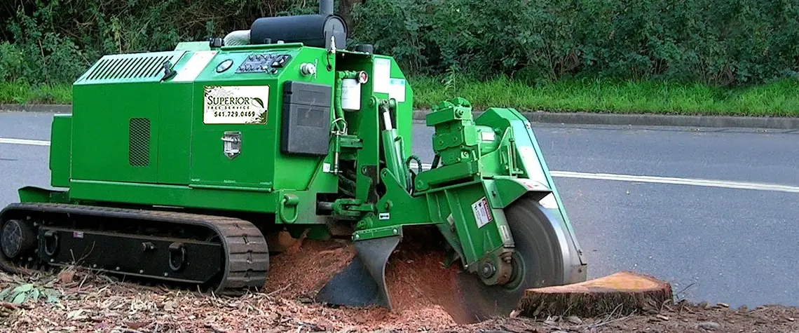 stump grinding eugene