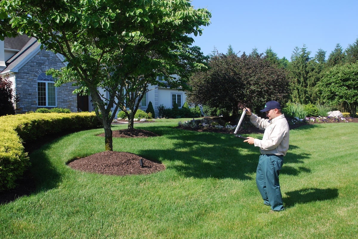 green tree lawn care
