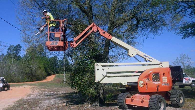 renting tree removal equipment