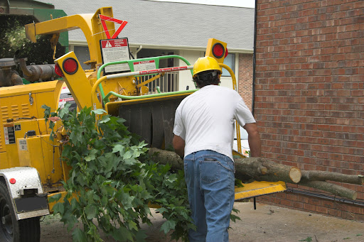 tree service fresno