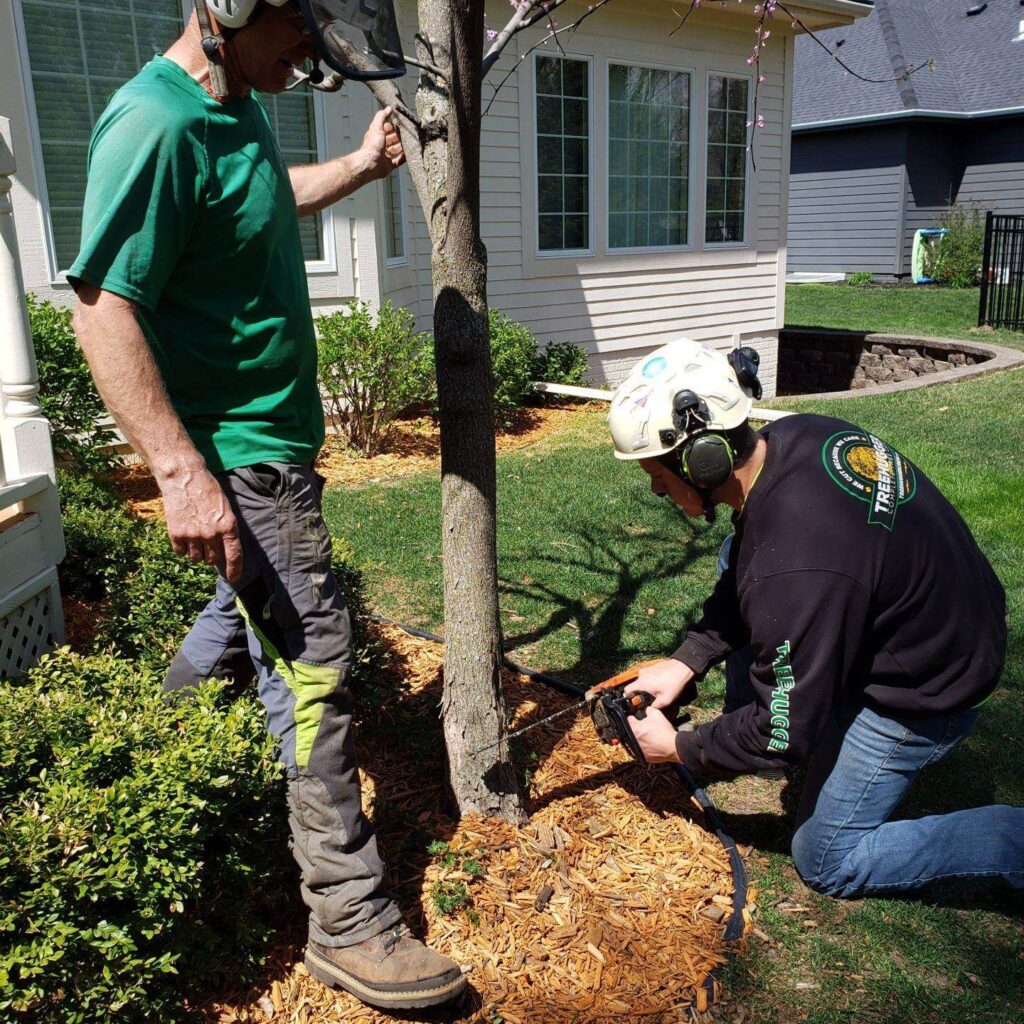 Tree Specialists