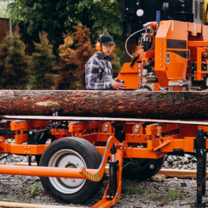 professional tree removal equipment