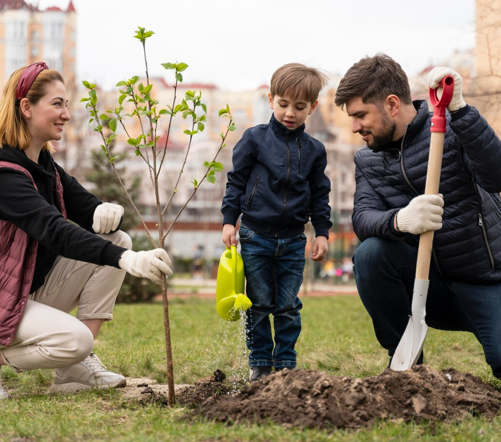 10 best trees to plant