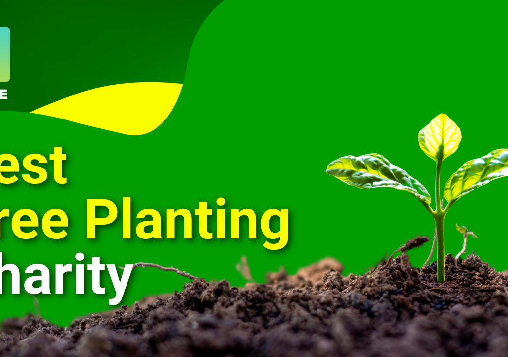 top tree planting charities