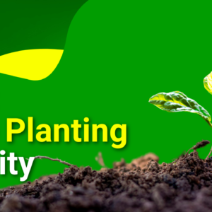 top tree planting charities