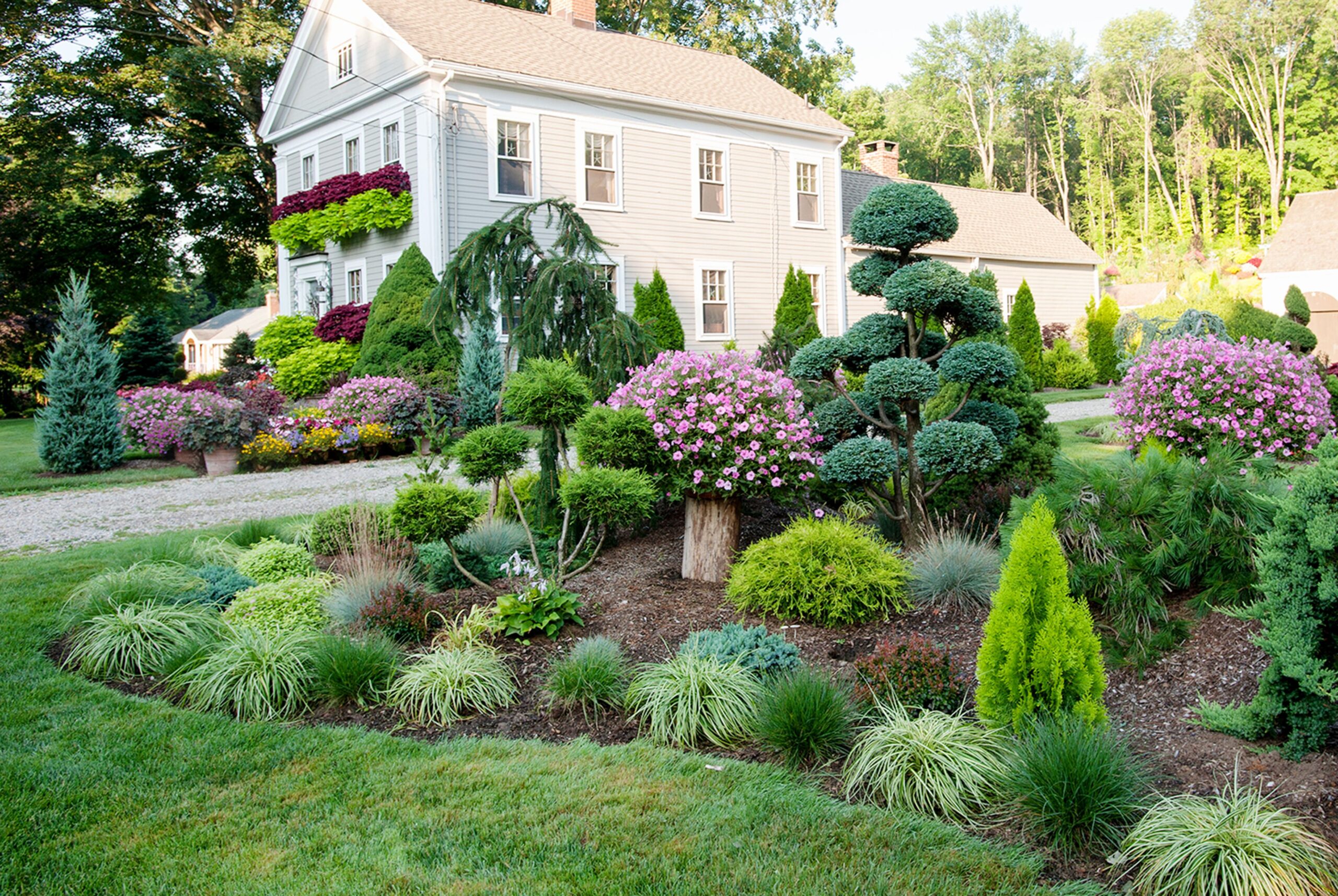 landscaping trees and shrubs