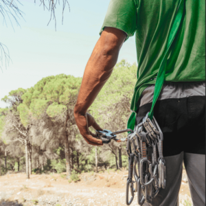 arborist gear near me