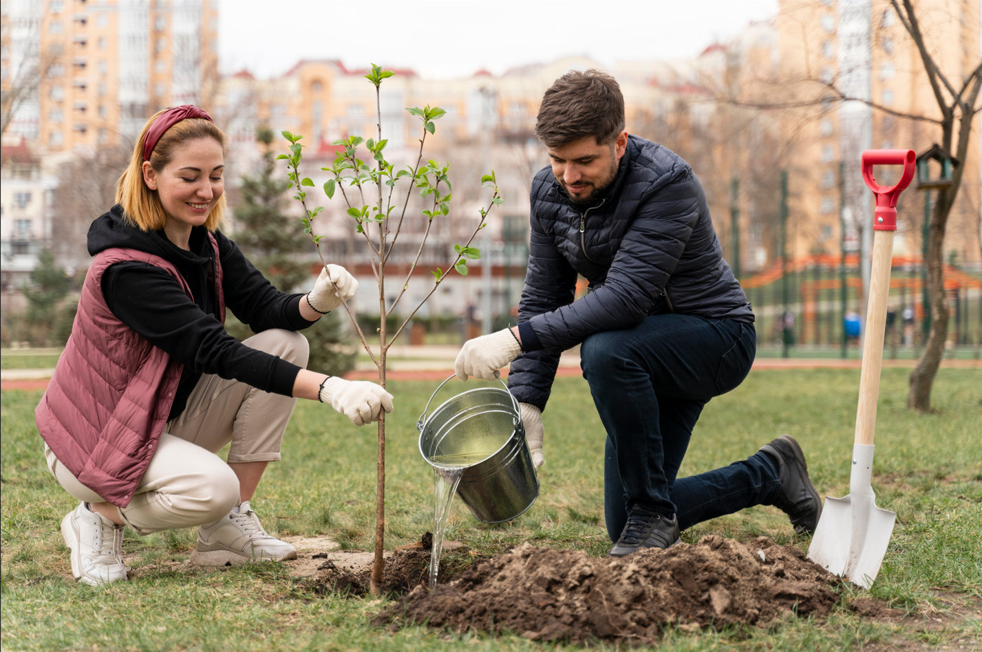 how to plant fruit trees