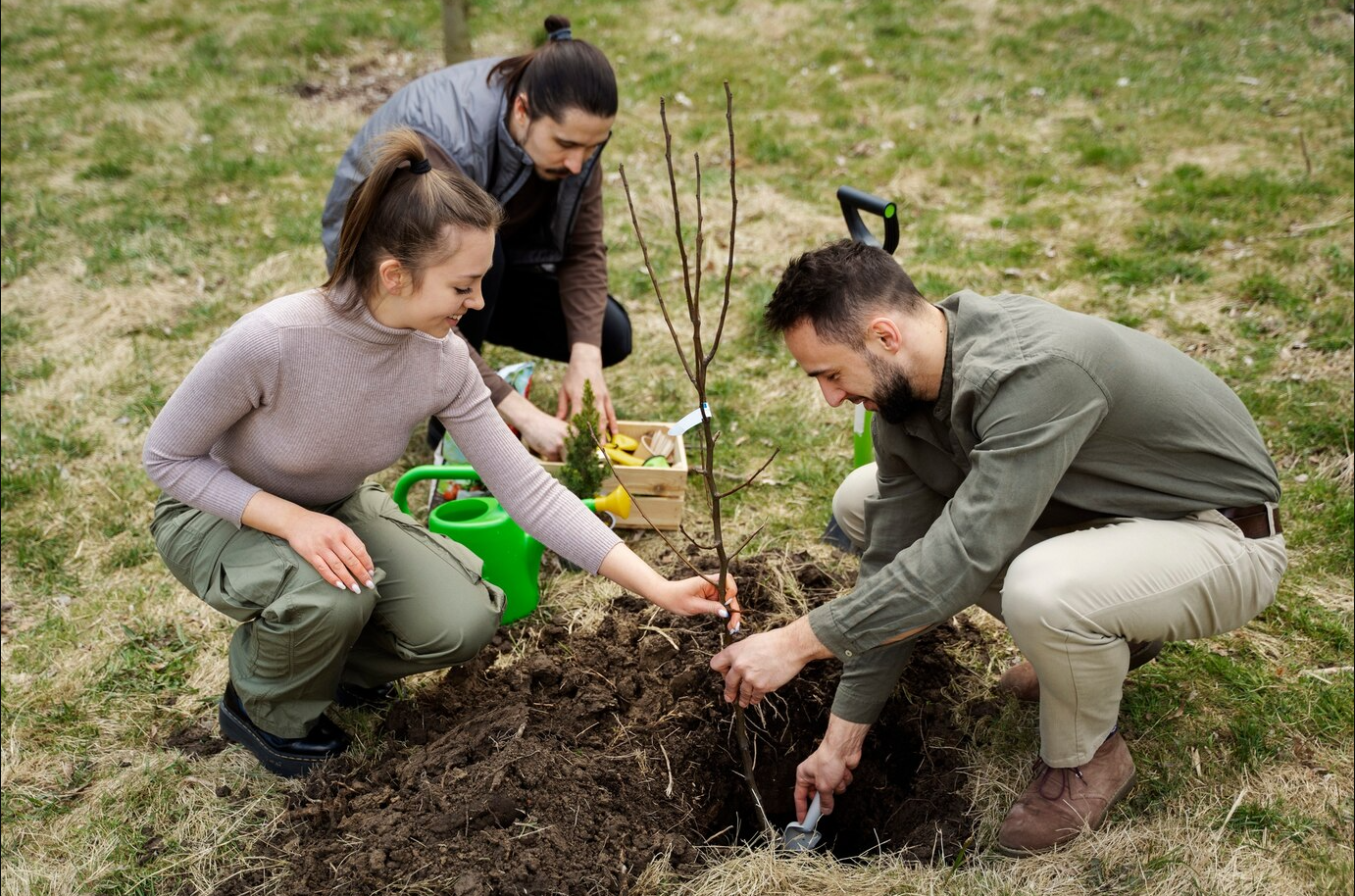 best tree planting techniques
