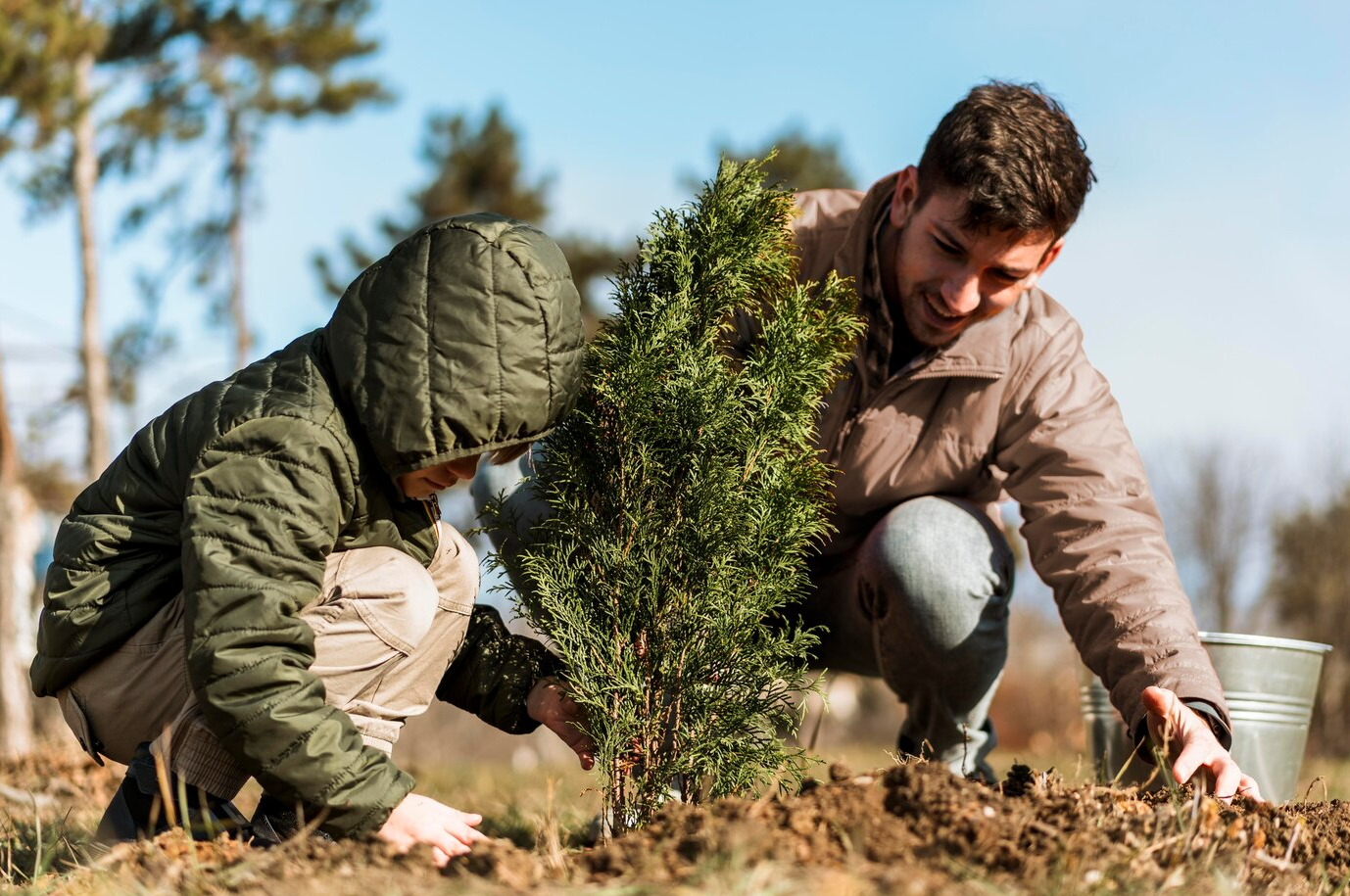 10 best trees to plant
