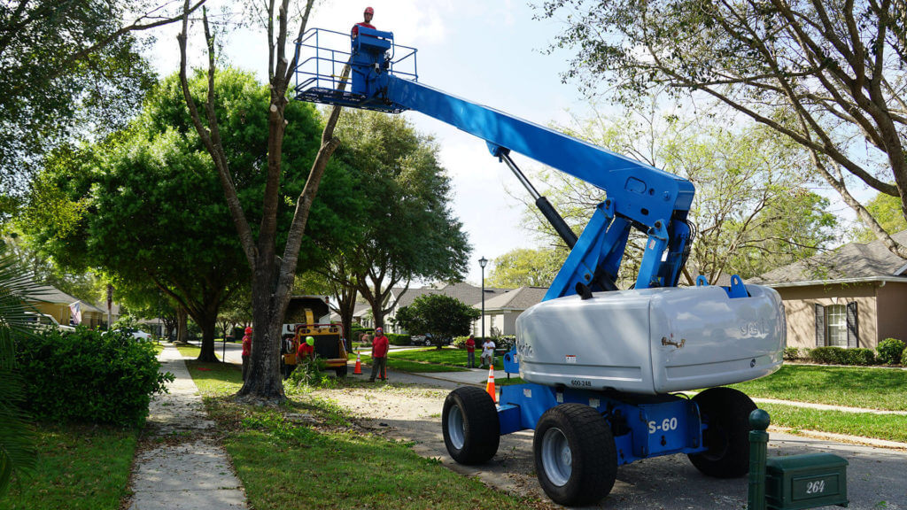 top tree service near me