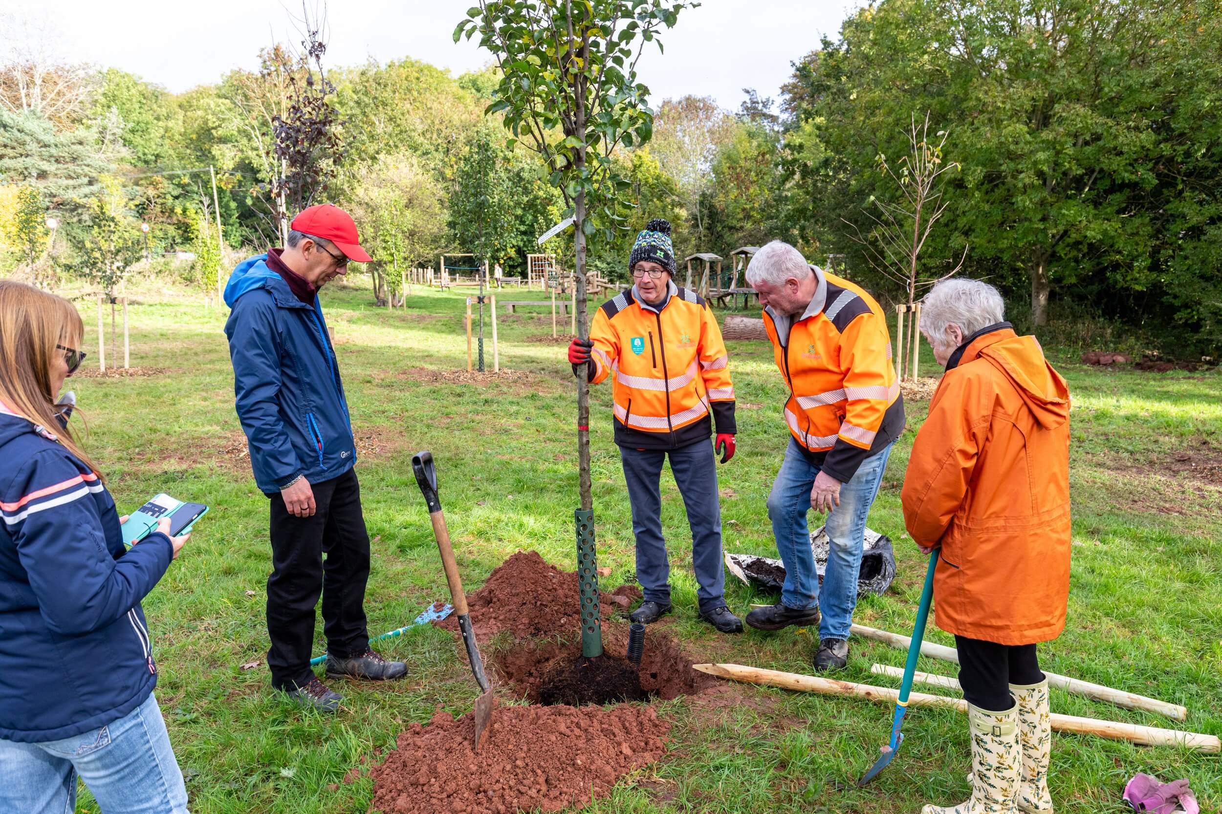 Planting Tree Guide