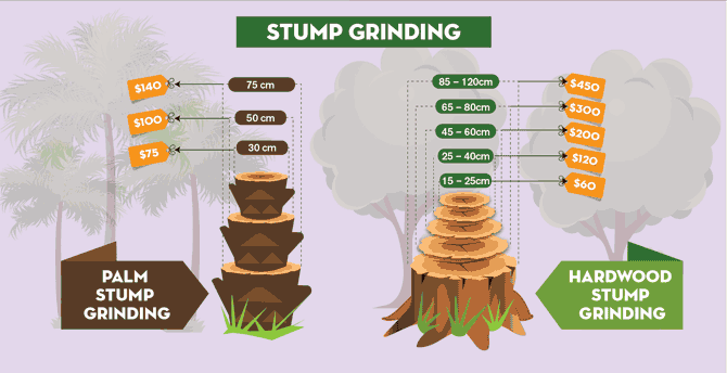 stump removal cost