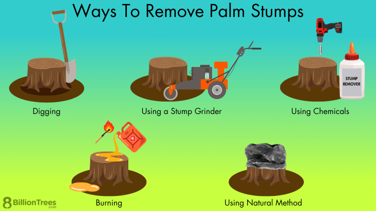 stump removal cost