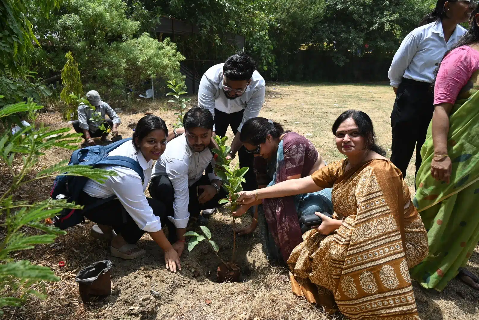 essay tree plantation