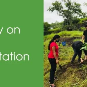 essay tree plantation