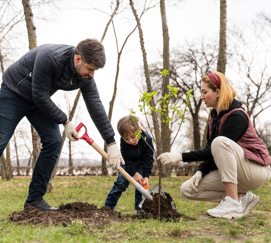 how best to plant trees