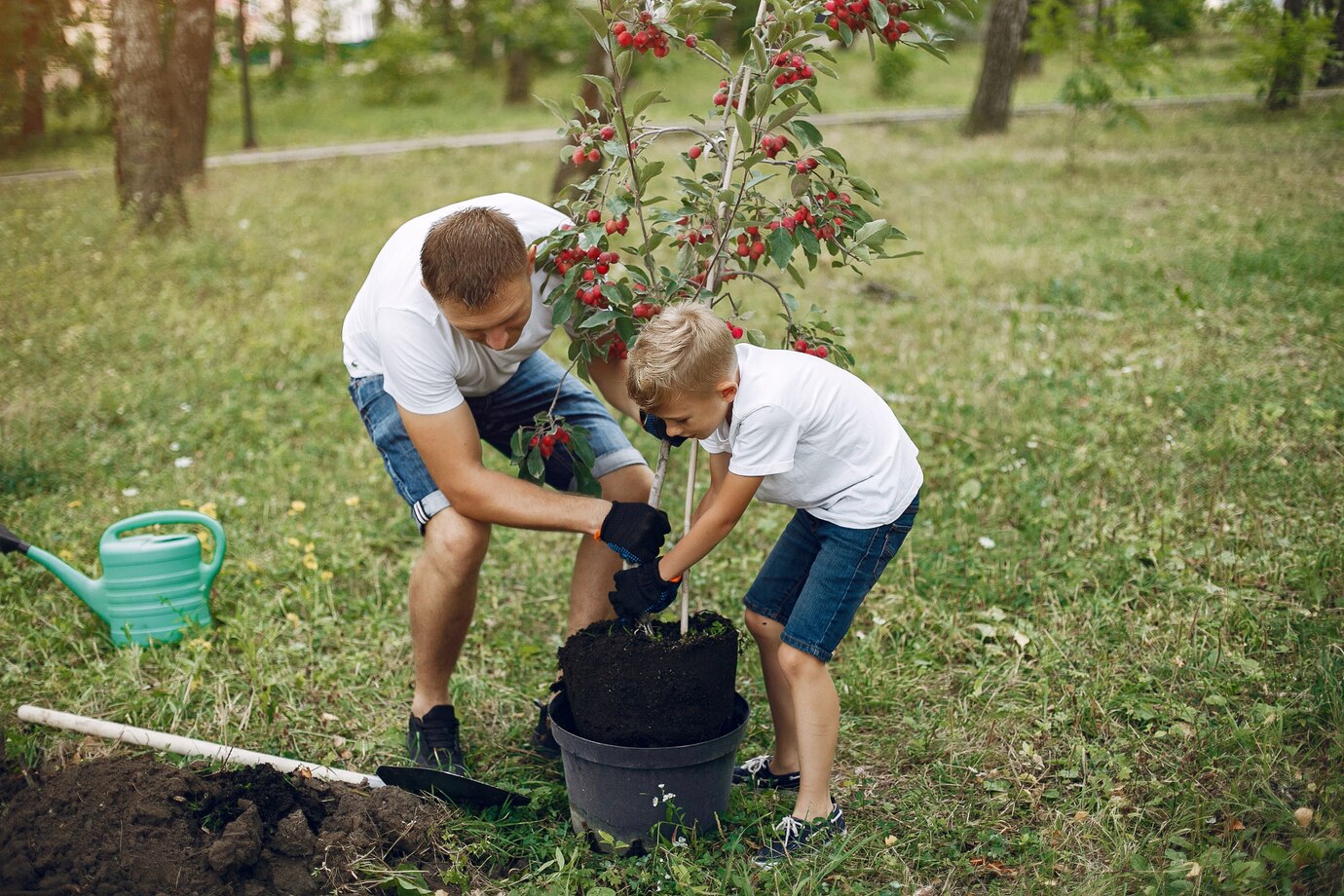 10 best trees to plant
