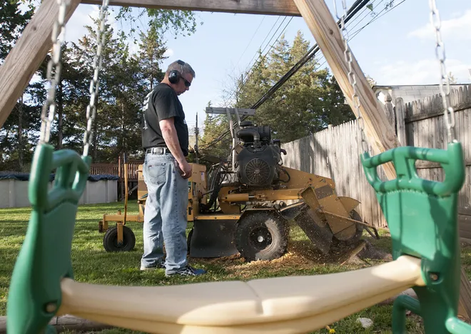 stump removal business