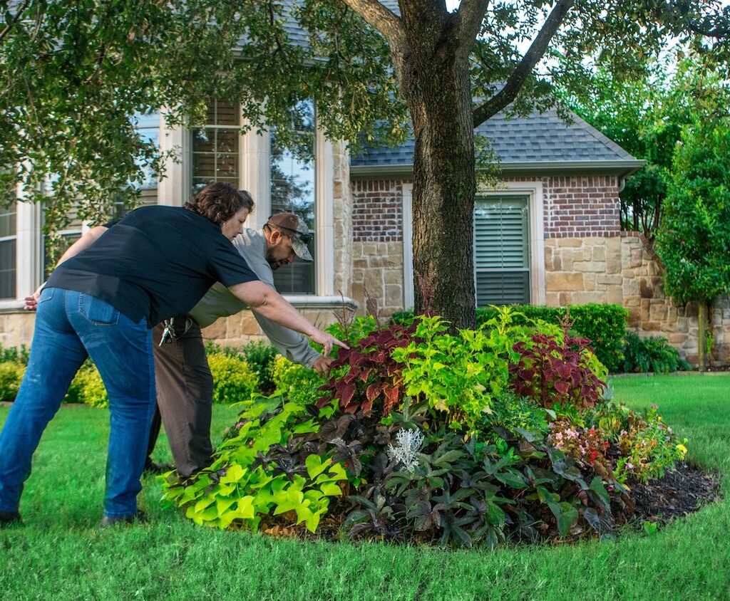 landscaping trees and shrubs