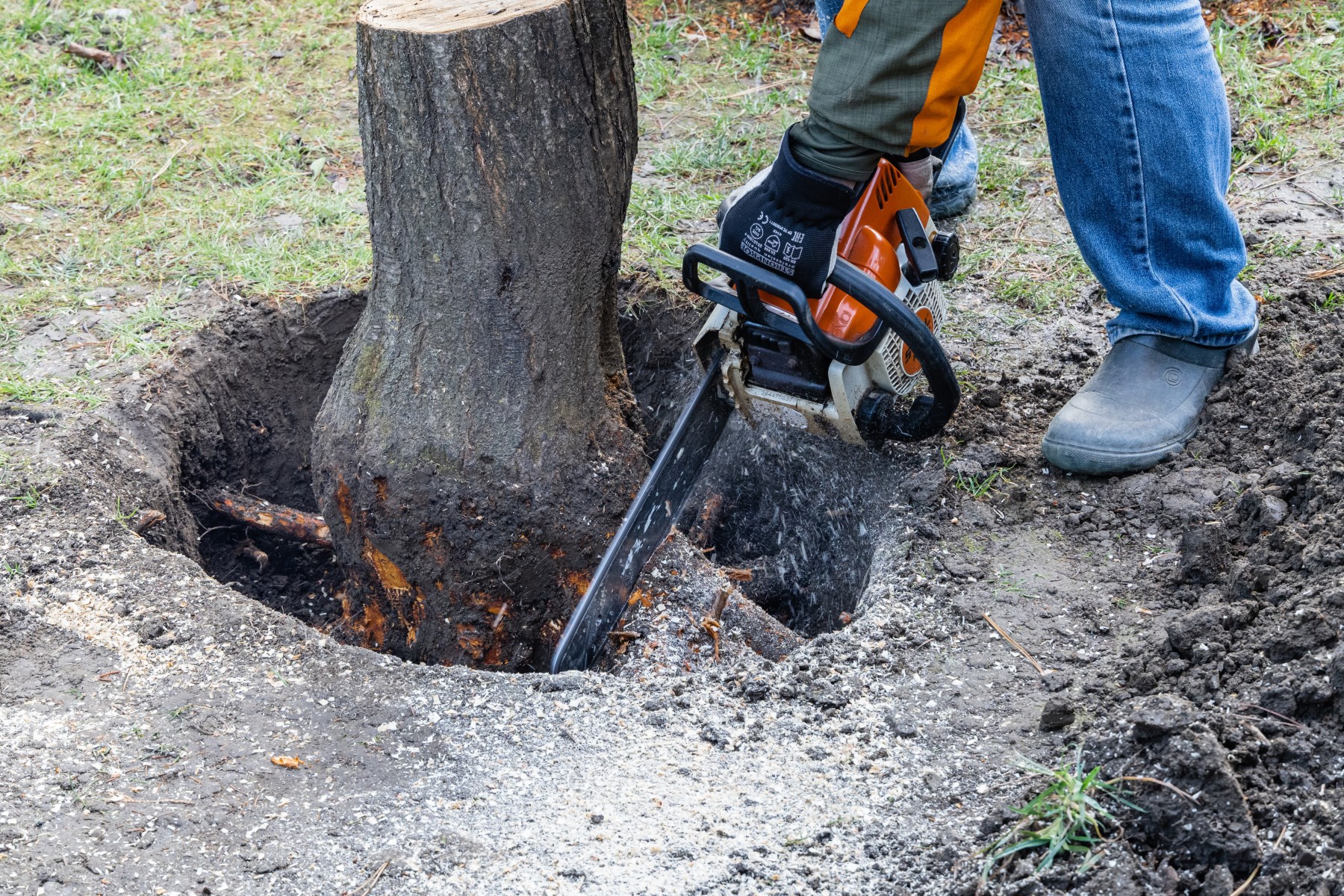 tree stump removal near me